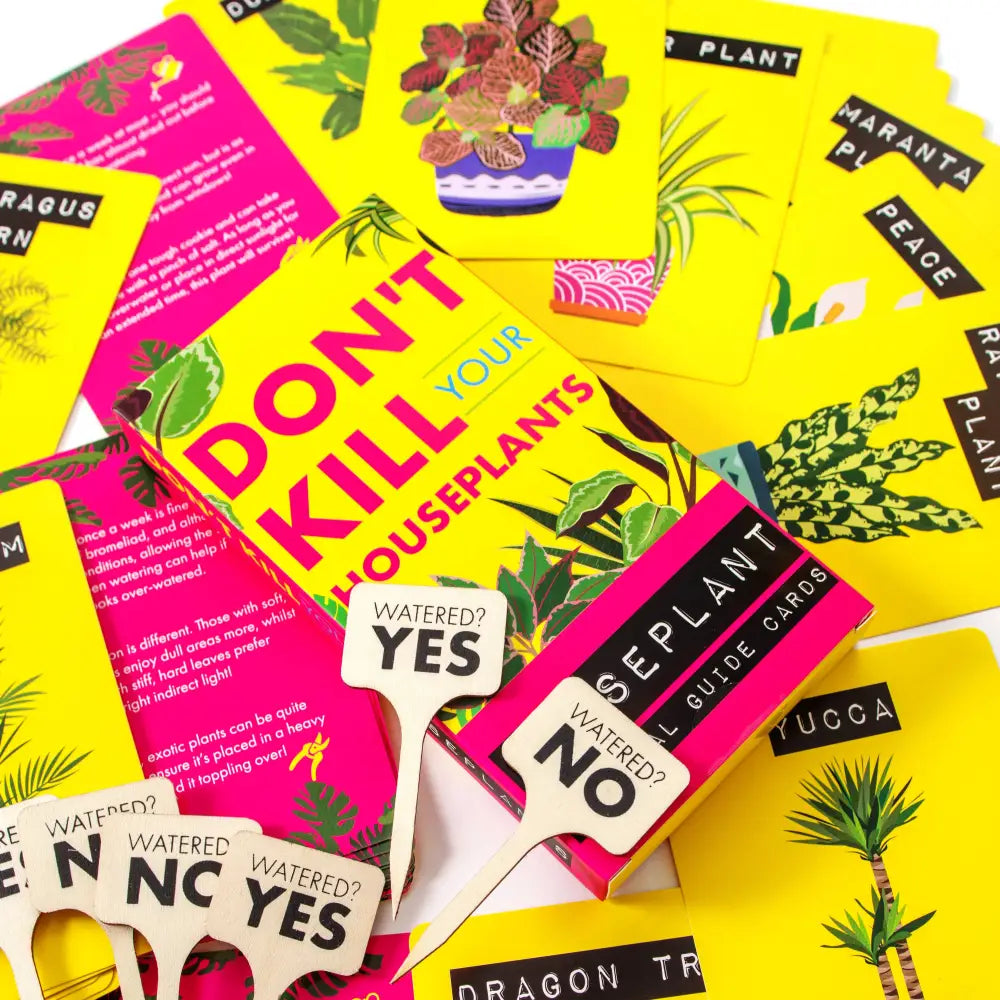 Don’t Kill Your Houseplants - Plant Care Cards - Books & Stationery