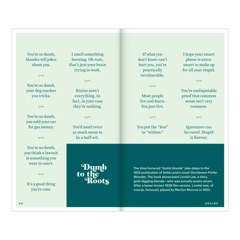 Insults & Comebacks - Lines for All Occasions Book - Books & Stationery