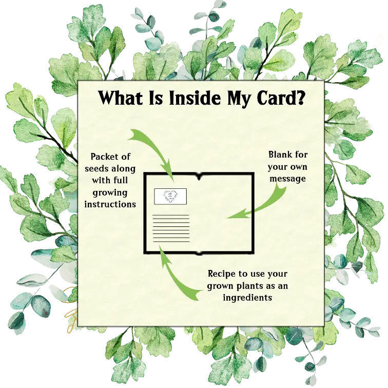 Seed & Recipe Card - Muddled Martini Gin Cocktail - Cards