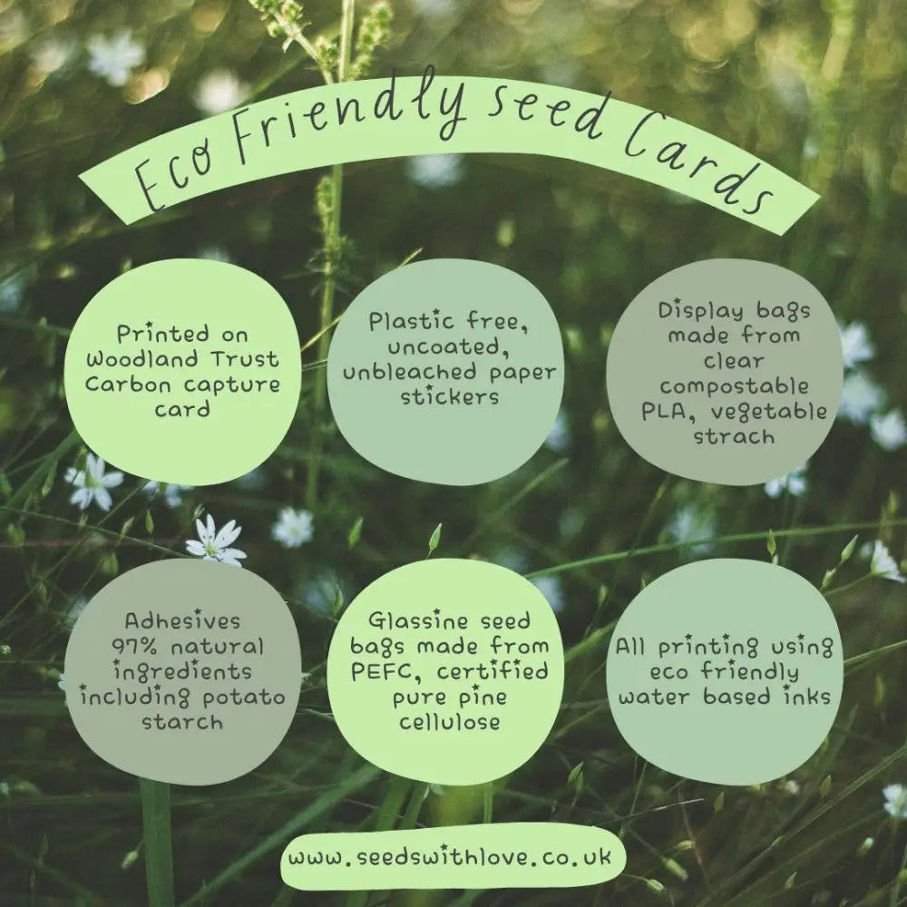 Seed & Recipe Card - Muddled Martini Gin Cocktail - Cards