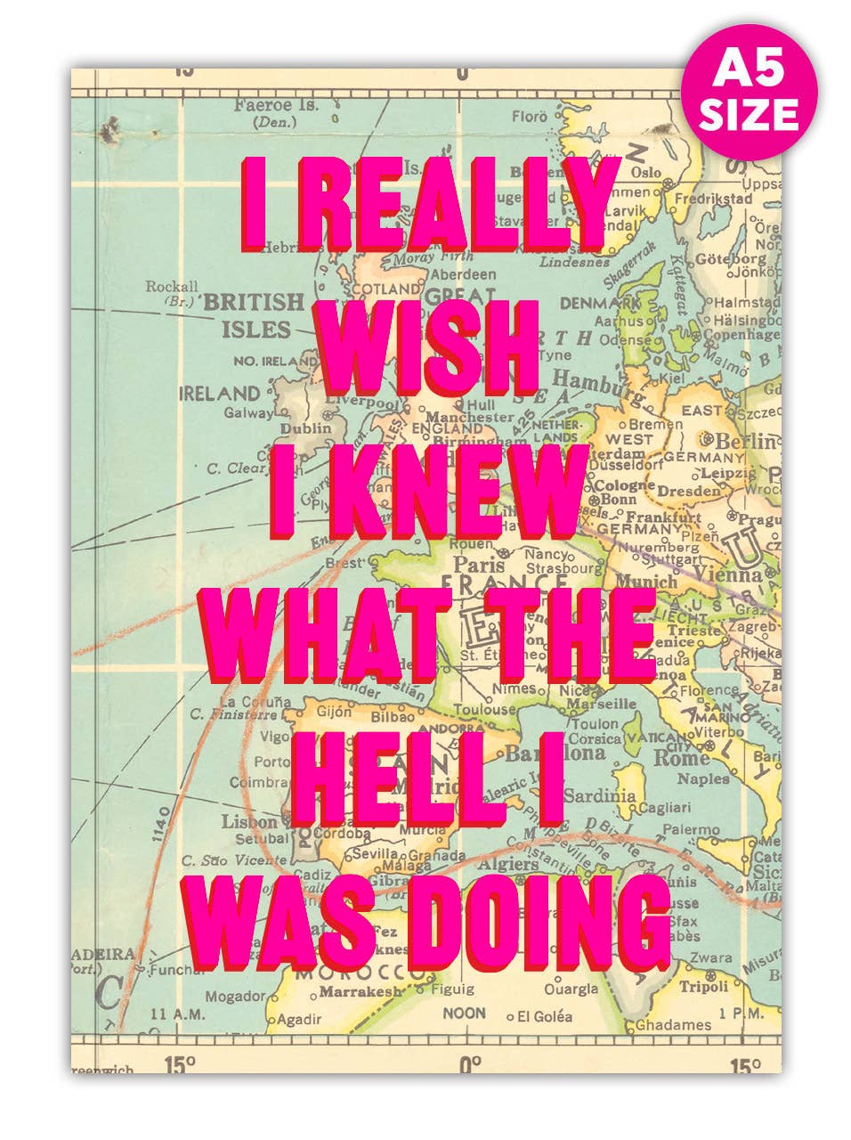 I wish I knew what the hell I was doing - funny A5 notebook, stationery gift | Laughing Sisters UK