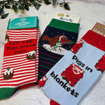 Pigs & Puds Christmas Sock Bundle - funny xmas socks for men | Laughing Sisters UK